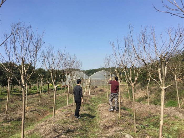 ���ʡ�(�й���)���޹�˾����