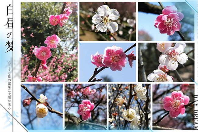 ���ʡ�(�й���)���޹�˾����